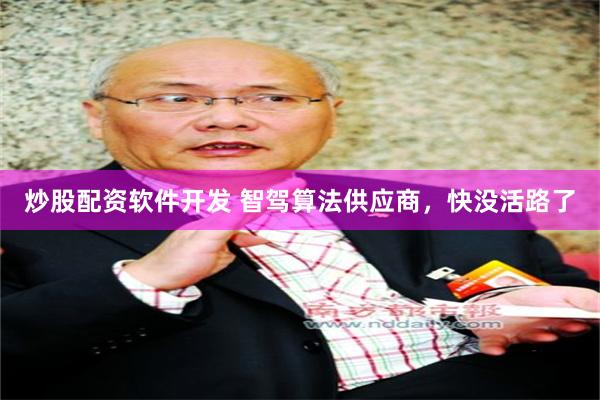 炒股配资软件开发 智驾算法供应商，快没活路了