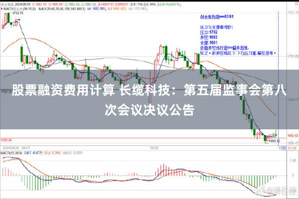 股票融资费用计算 长缆科技：第五届监事会第八次会议决议公告