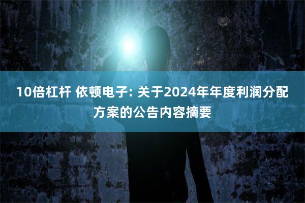 10倍杠杆 依顿电子: 关于2024年年度利润分配方案的公告内容摘要