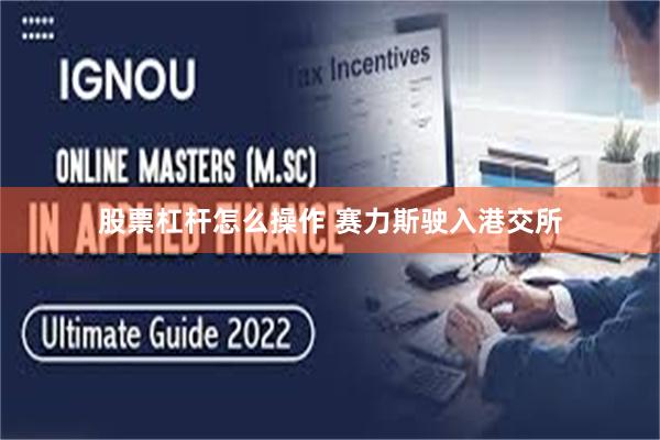 股票杠杆怎么操作 赛力斯驶入港交所