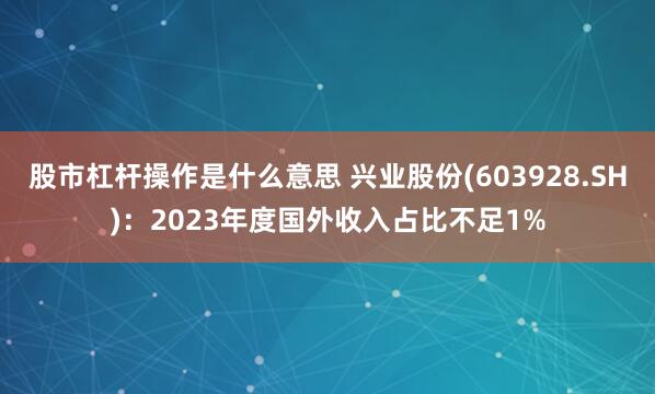股市杠杆操作是什么意思 兴业股份(603928.SH)：2023年度国外收入占比不足1%