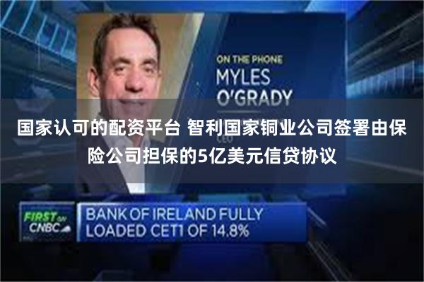 国家认可的配资平台 智利国家铜业公司签署由保险公司担保的5亿美元信贷协议