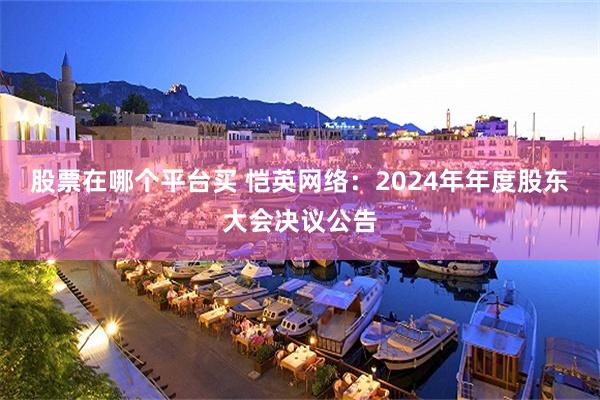 股票在哪个平台买 恺英网络：2024年年度股东大会决议公告