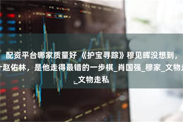 配资平台哪家质量好 《护宝寻踪》穆见晖没想到，算计赵佑林，是他走得最错的一步棋_肖国强_穆家_文物走私