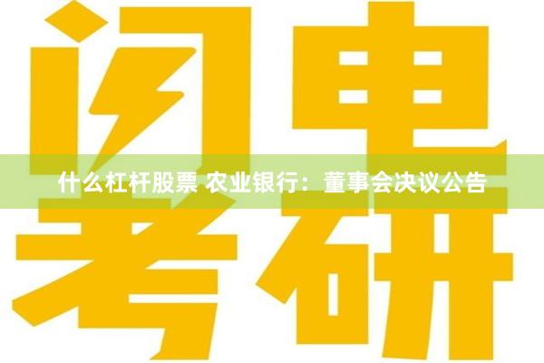 什么杠杆股票 农业银行：董事会决议公告